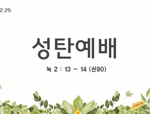 하나님께 영광, 사람에게 평화