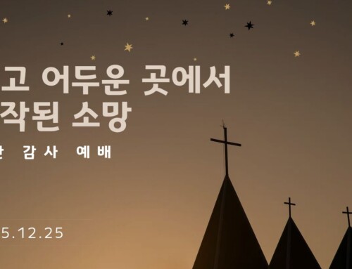 작고 어두운 곳에서 시작된 소망