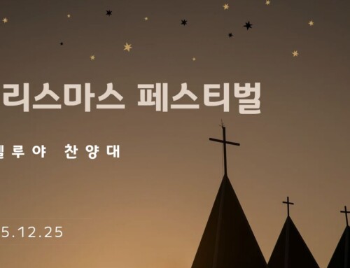 크라스마스 페스티벌